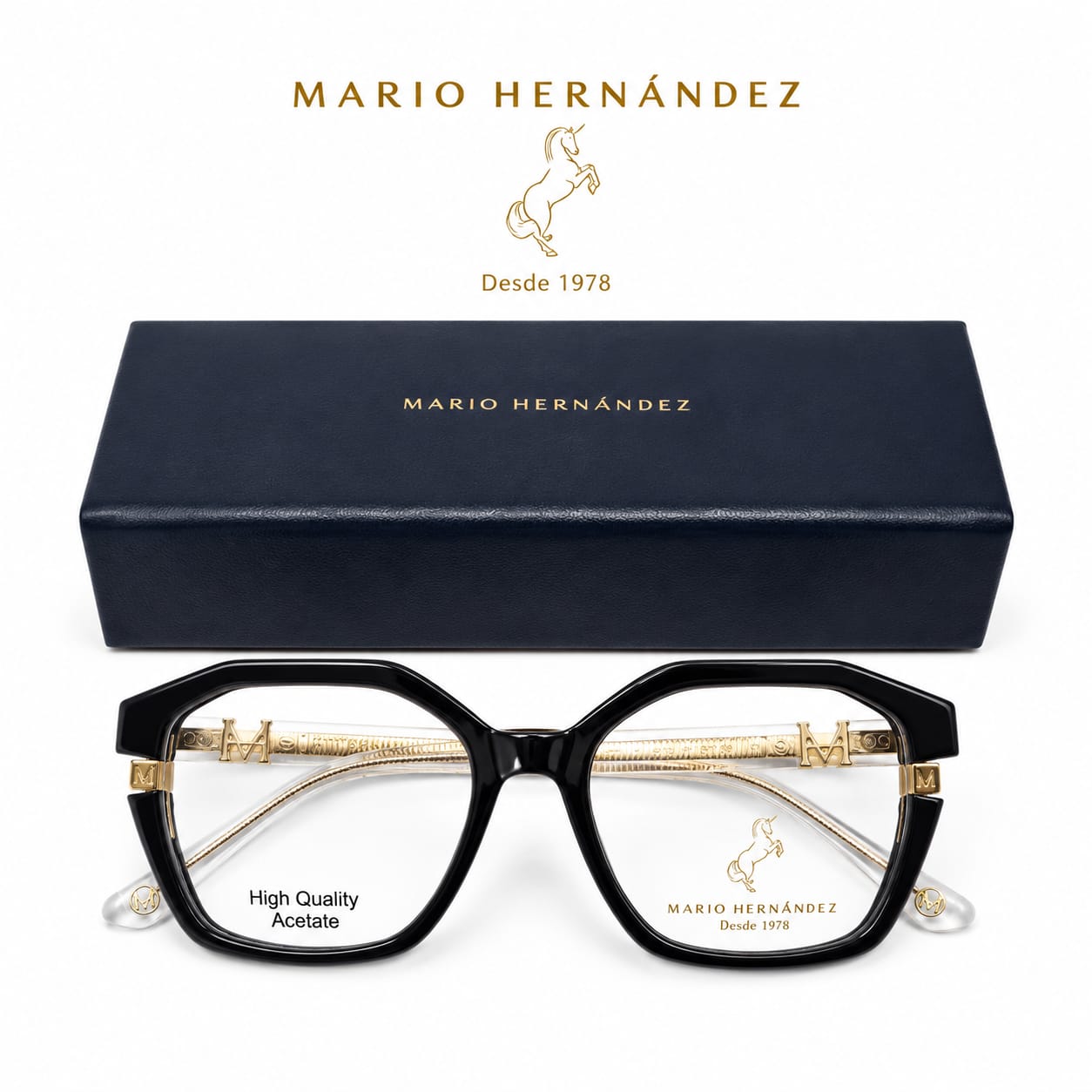 MARIO HERNANDEZ