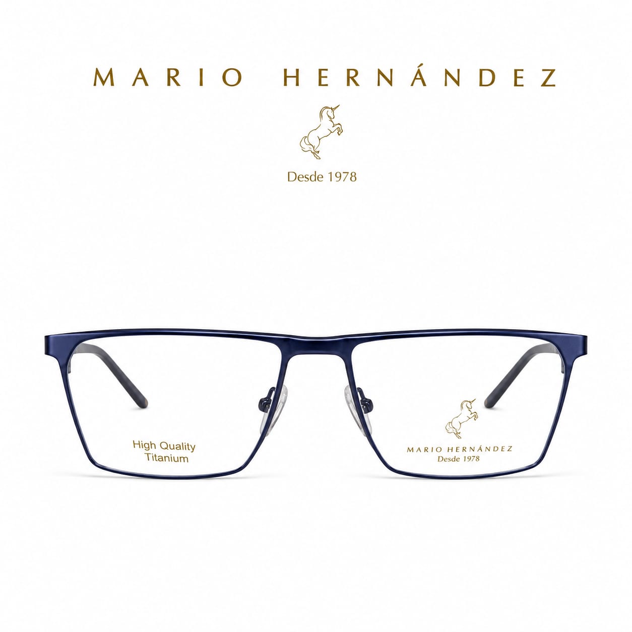 MARIO HERNANDEZ