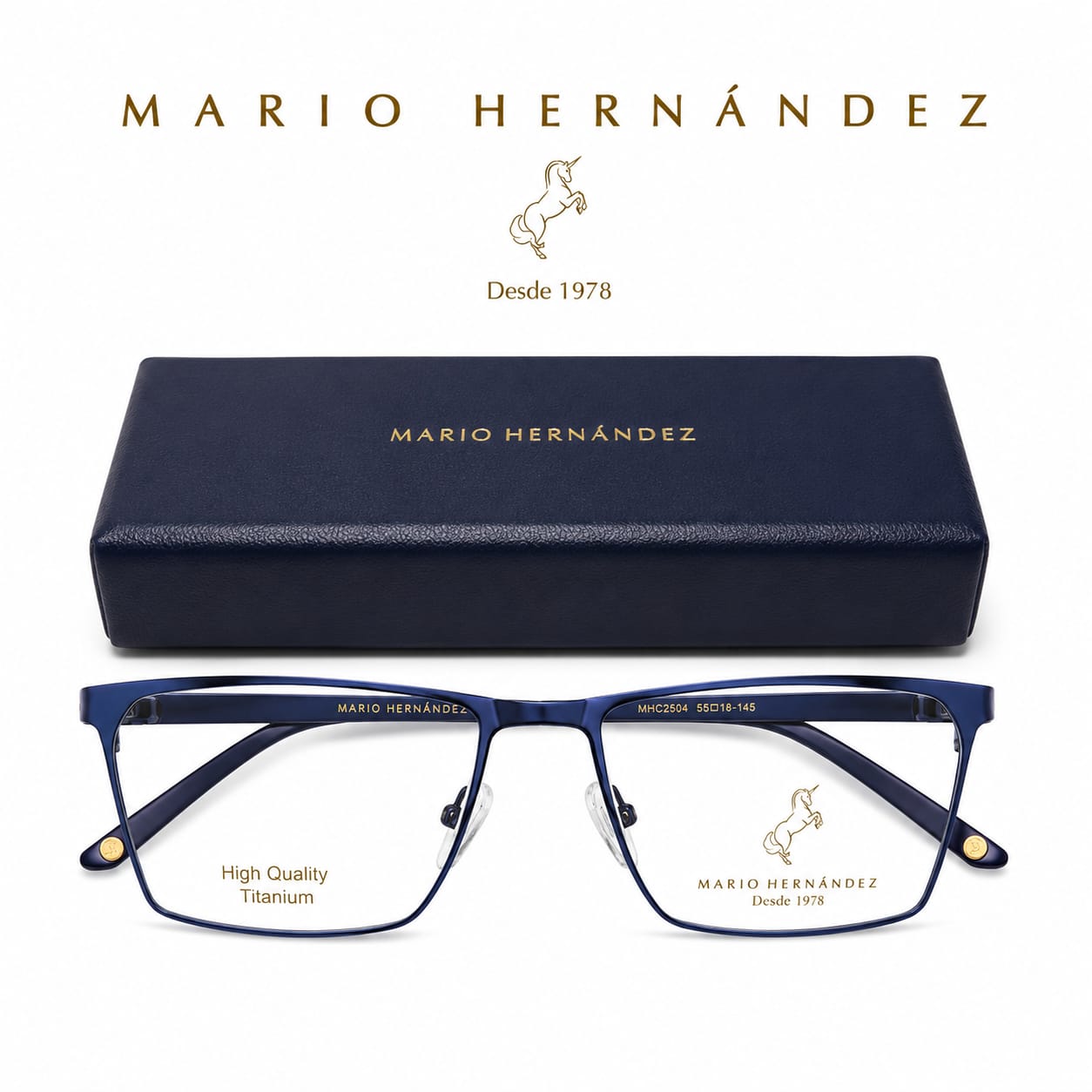 MARIO HERNANDEZ