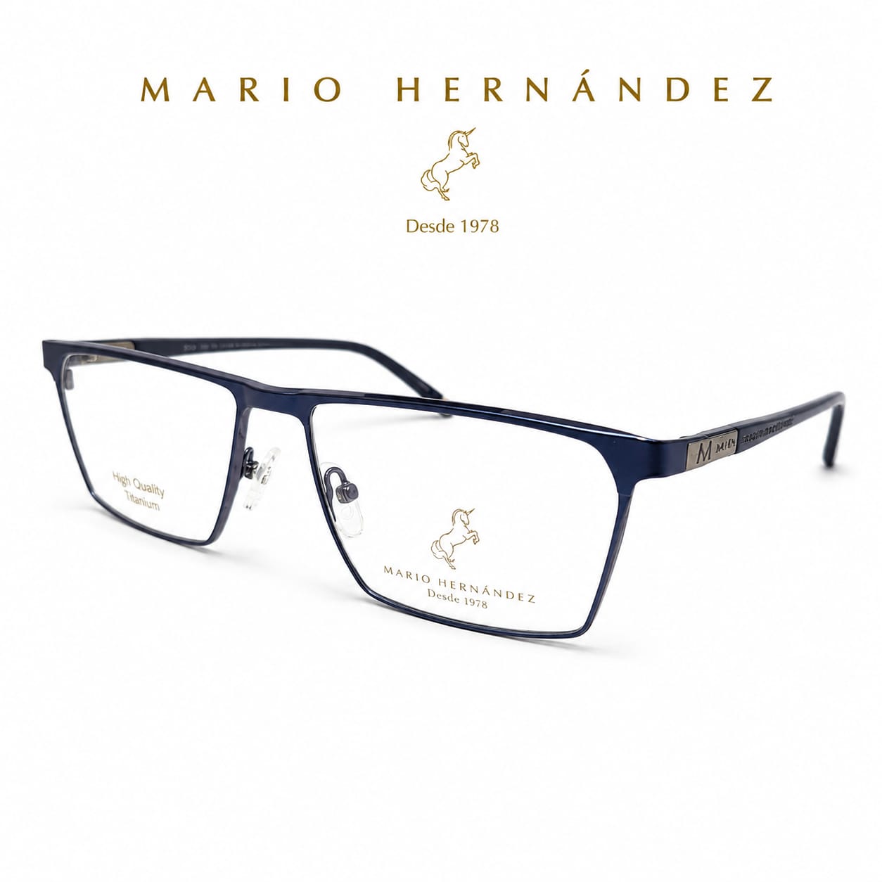 MARIO HERNANDEZ
