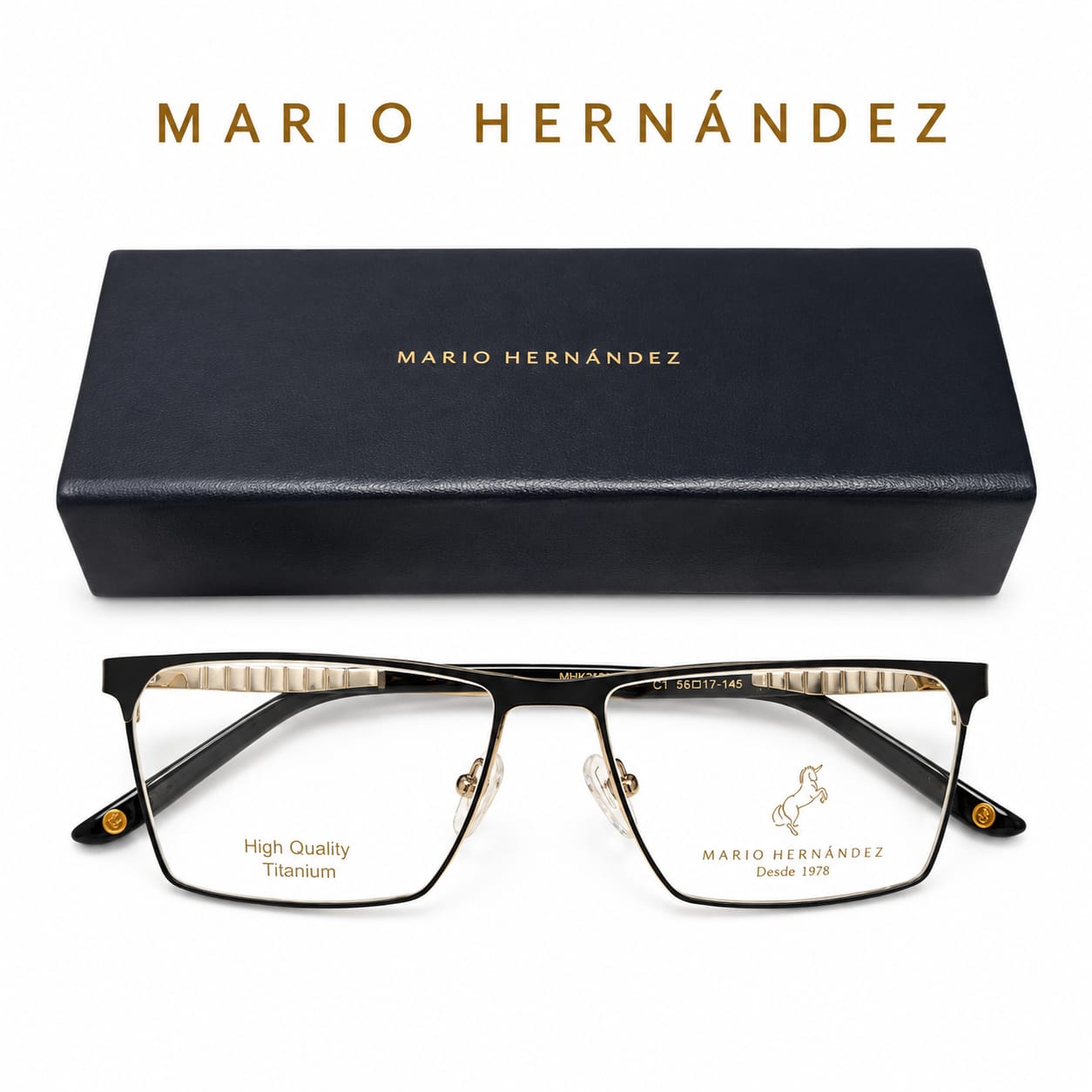 MARIO HERNANDEZ