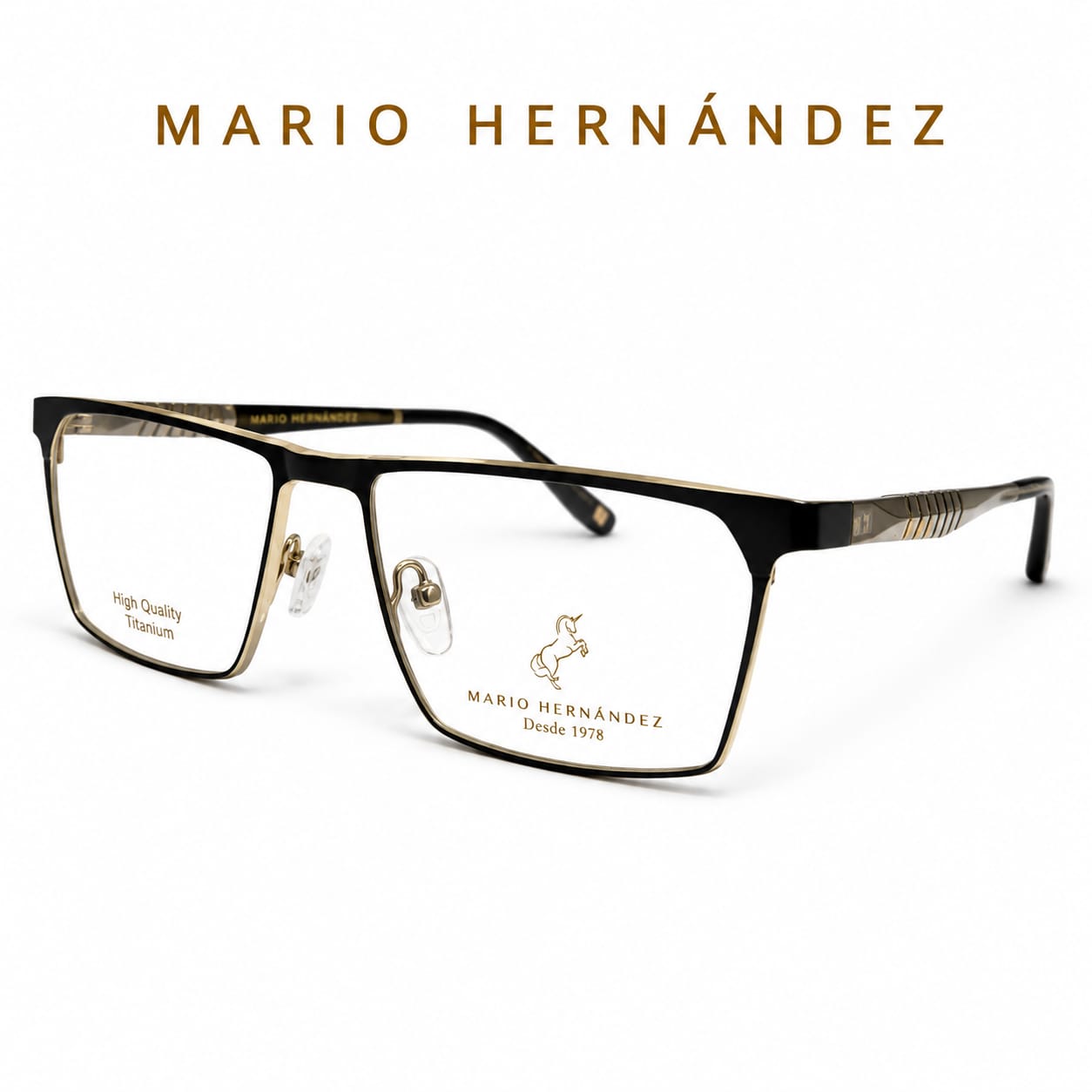 MARIO HERNANDEZ