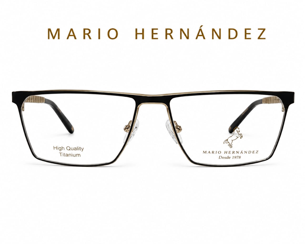 MARIO HERNANDEZ