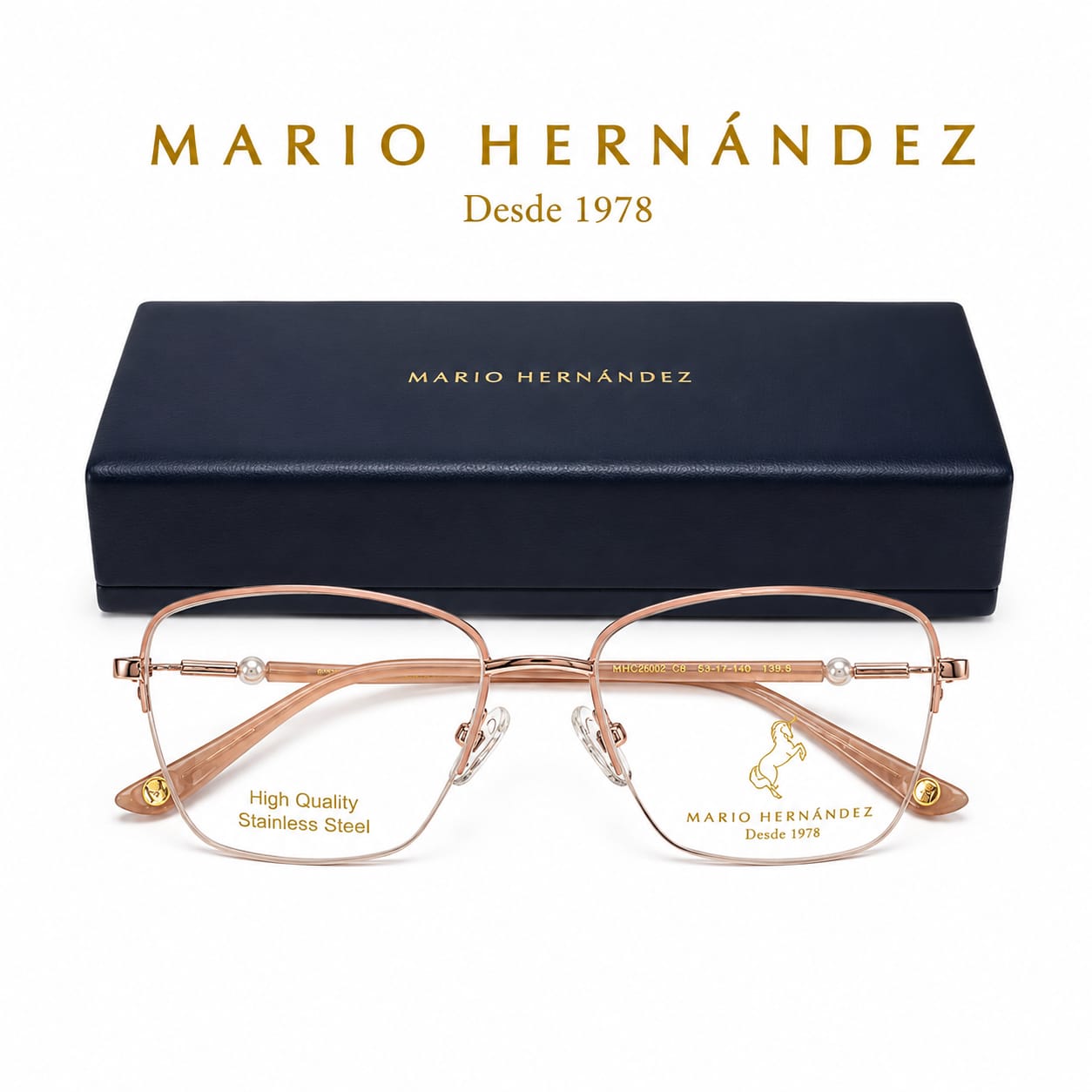 MARIO HERNANDEZ