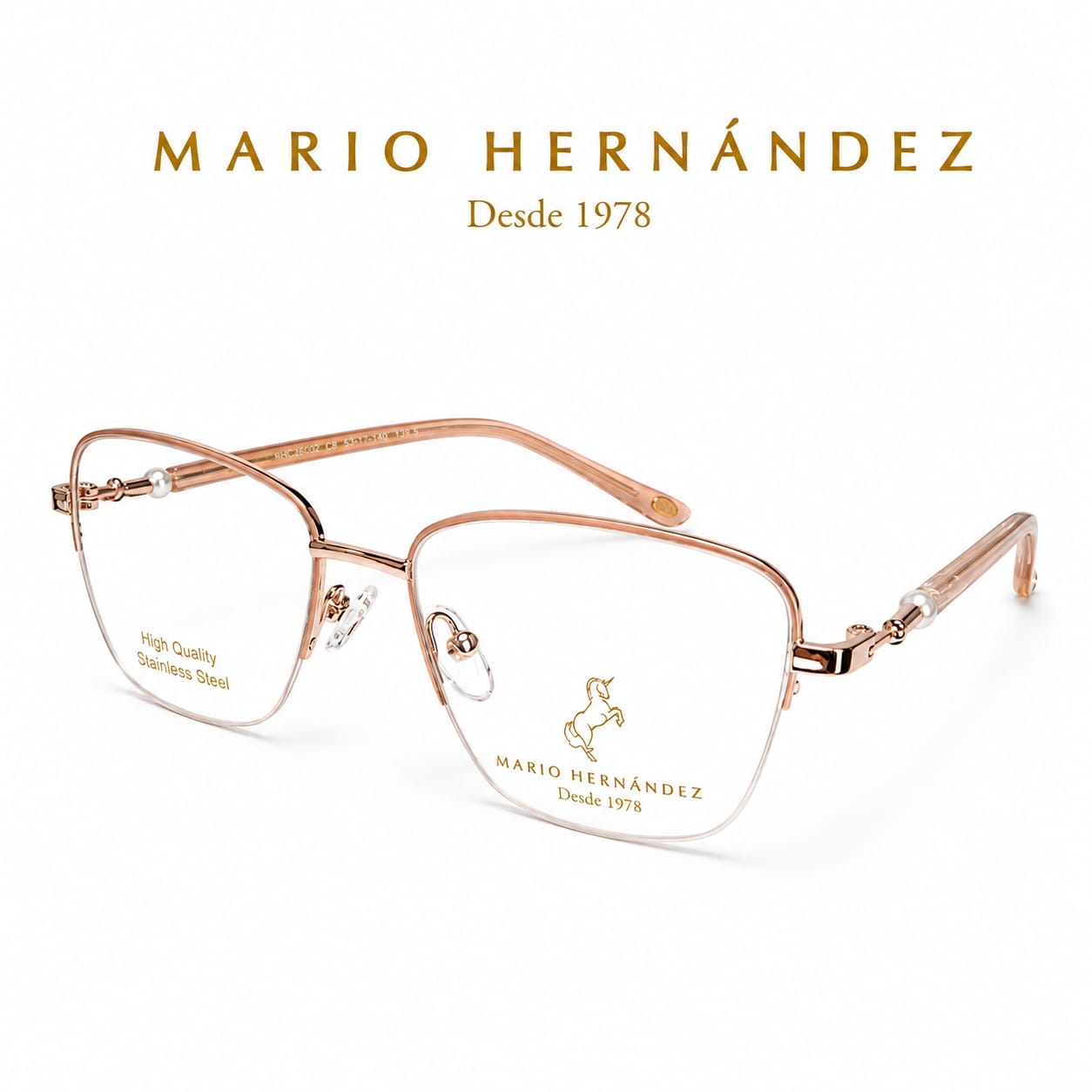 MARIO HERNANDEZ