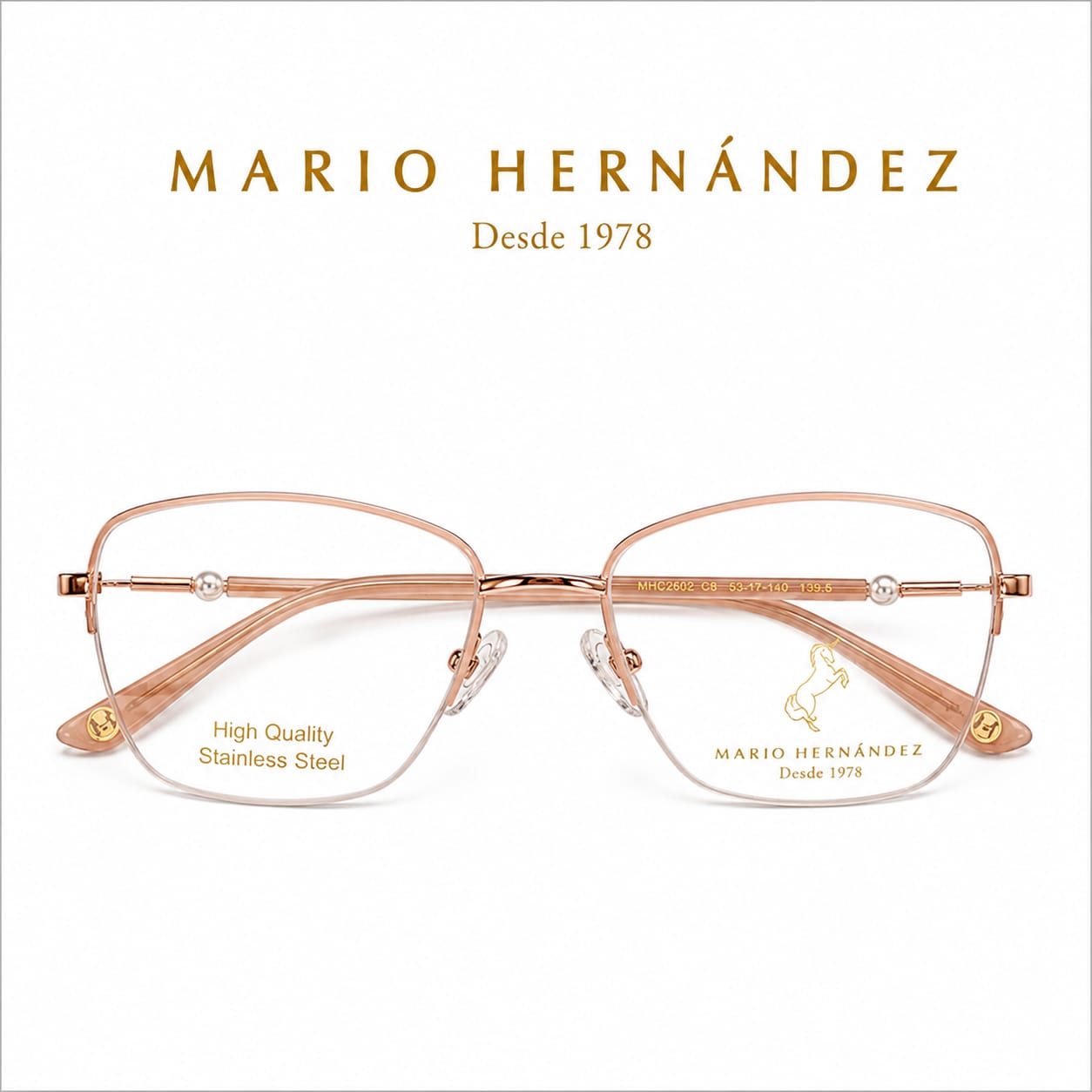 MARIO HERNANDEZ