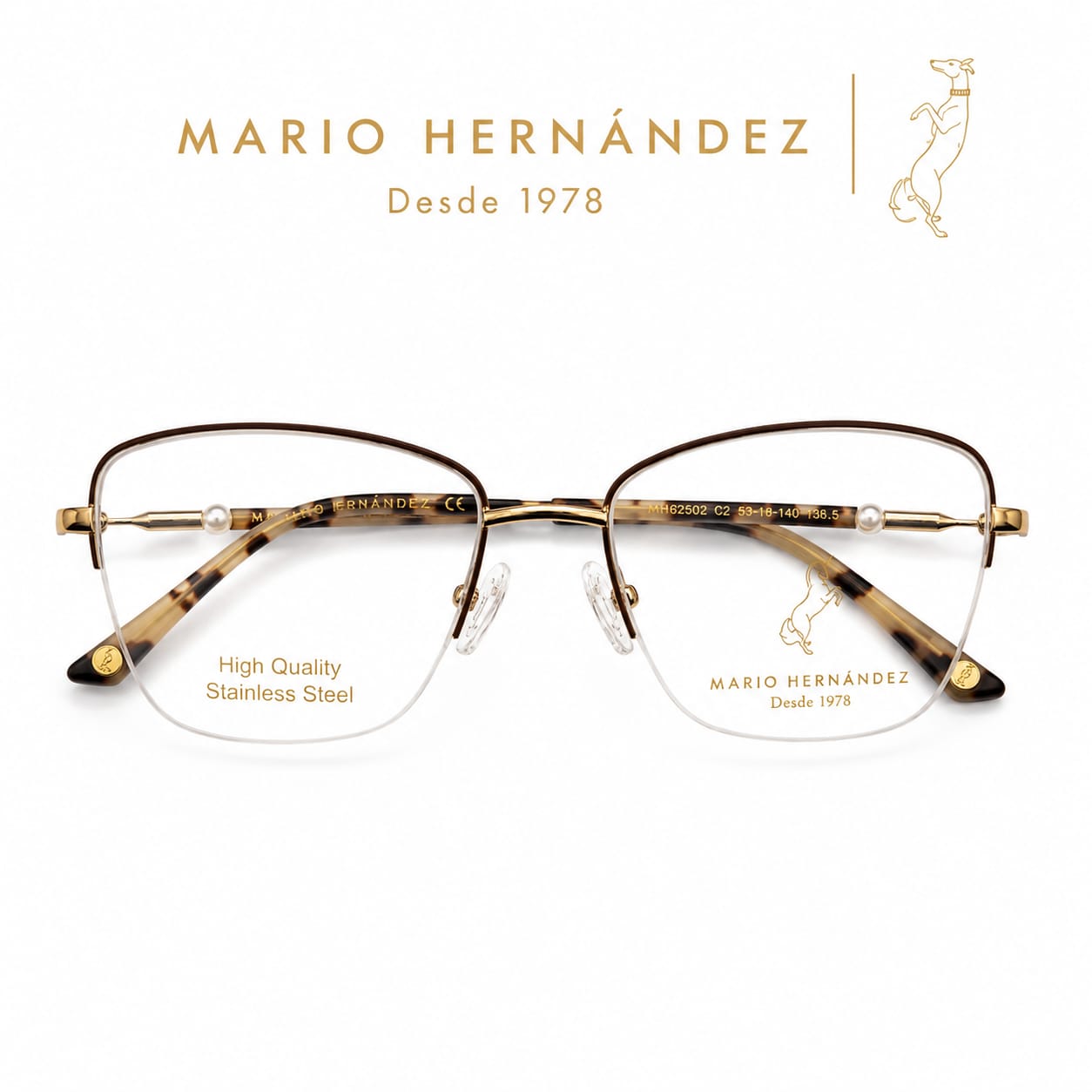 MARIO HERNANDEZ
