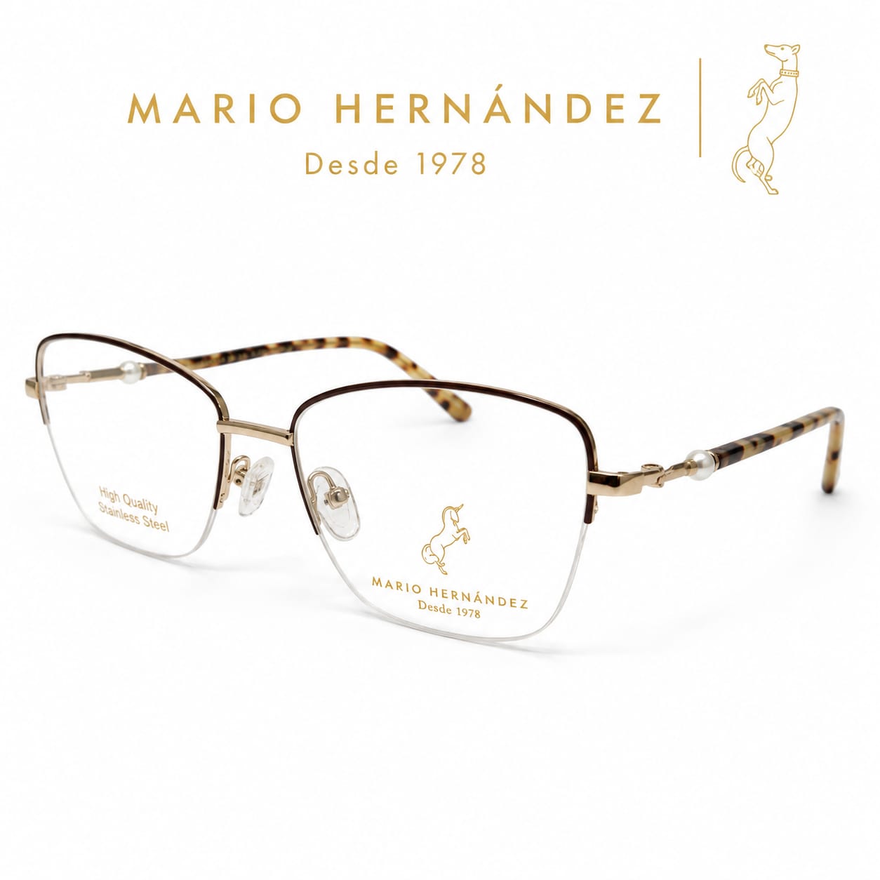 MARIO HERNANDEZ