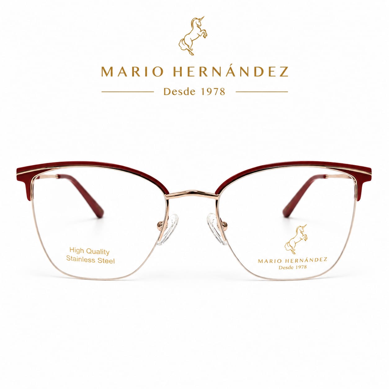 MARIO HERNANDEZ