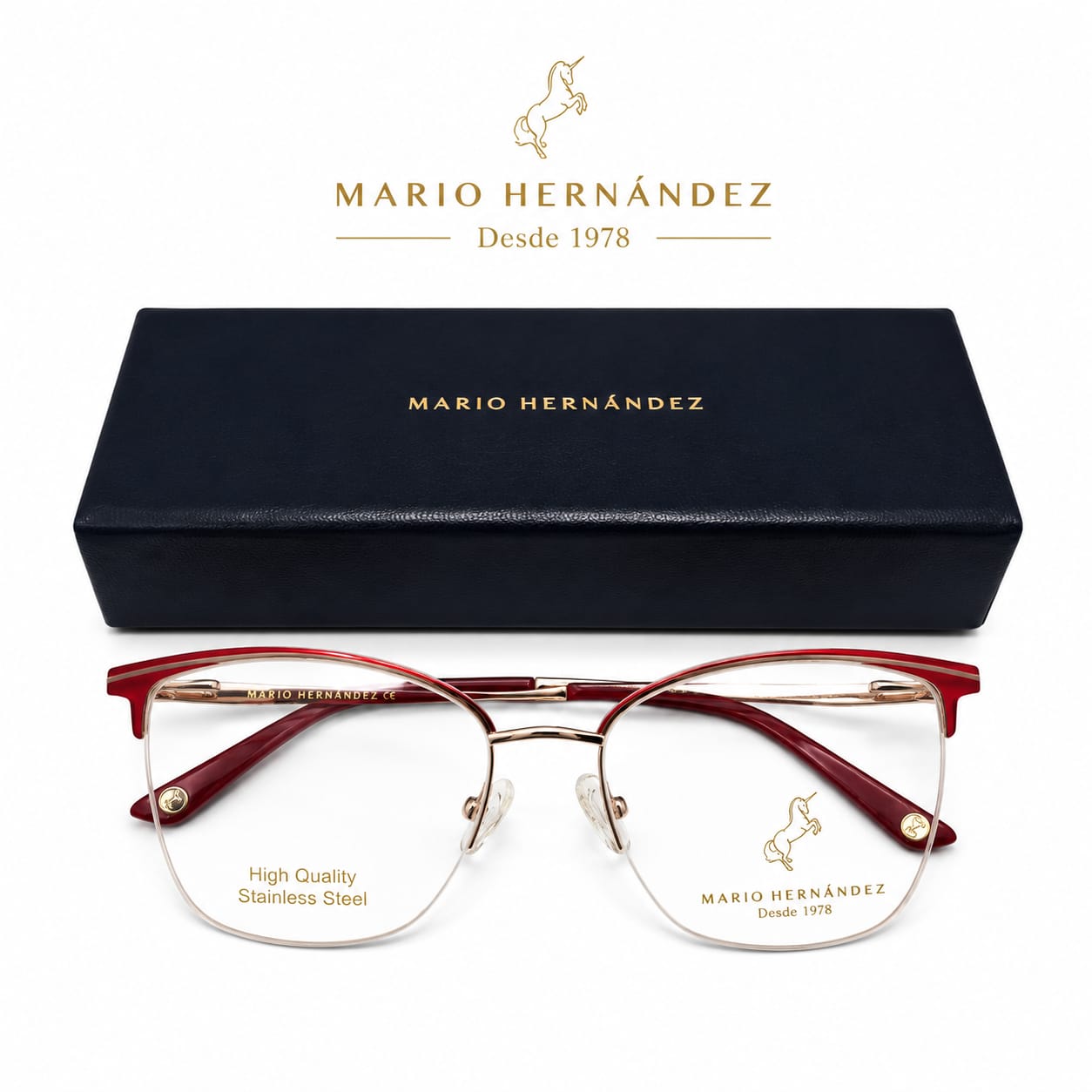 MARIO HERNANDEZ