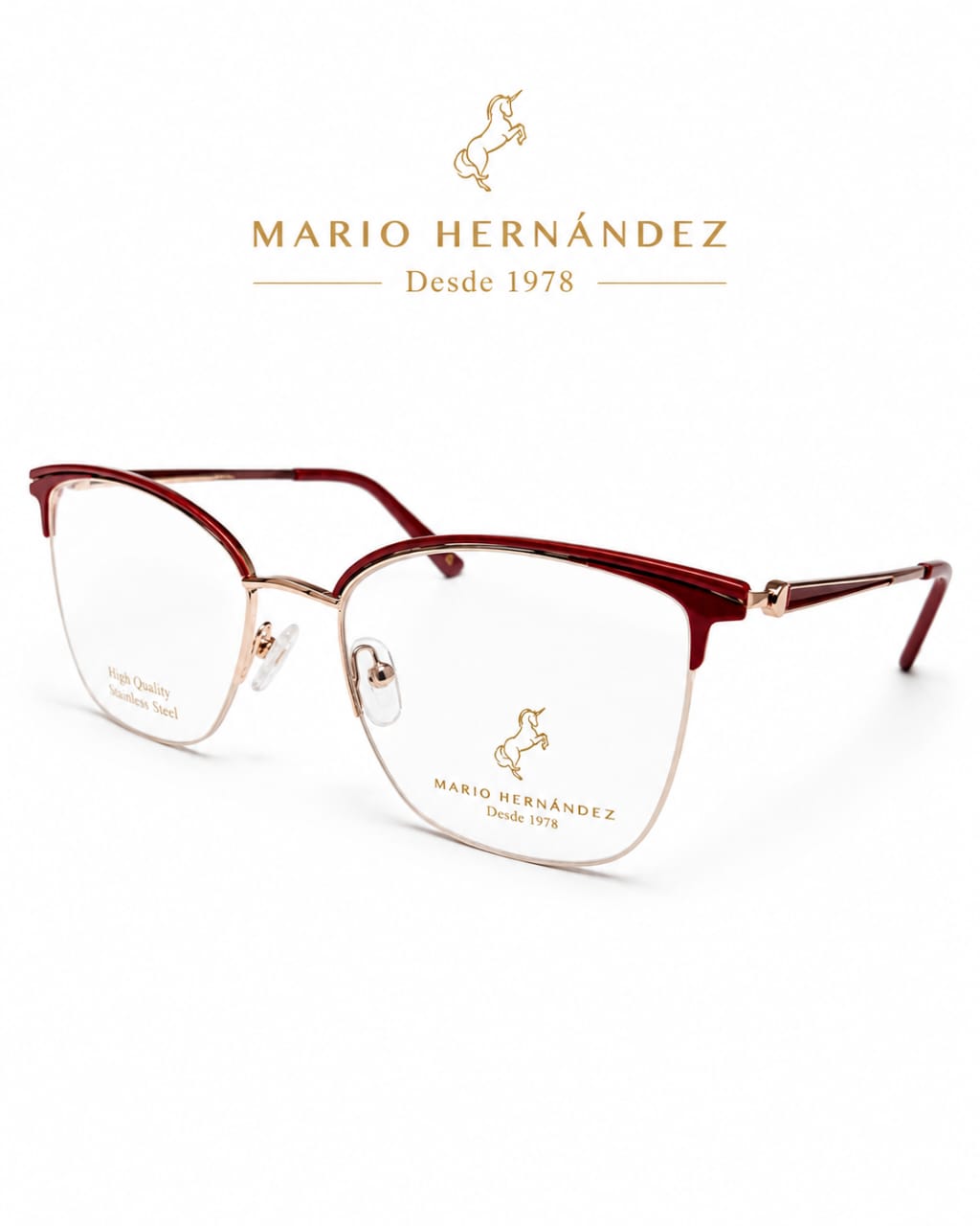 MARIO HERNANDEZ