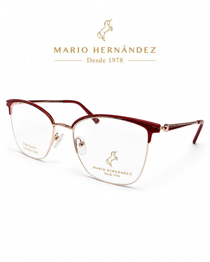 MARIO HERNANDEZ