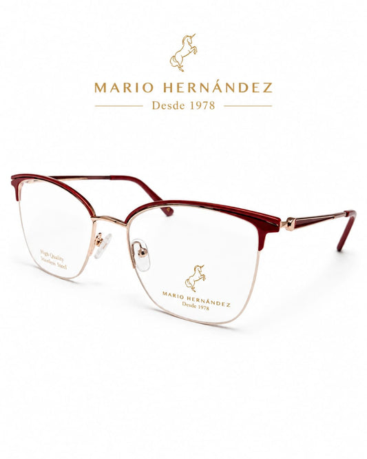 MARIO HERNANDEZ