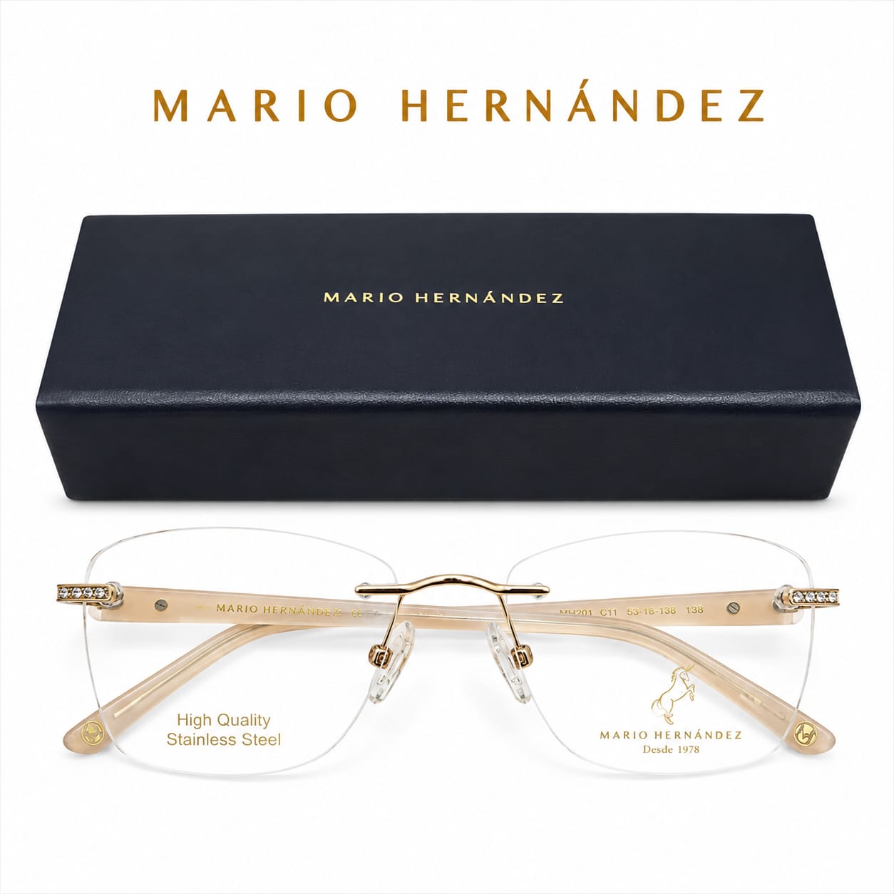 MARIO HERNANDEZ
