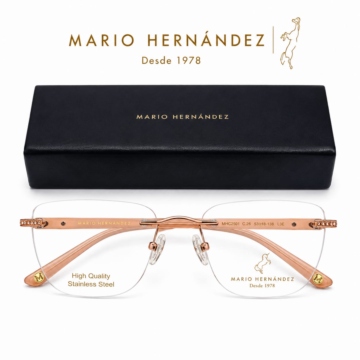 MARIO HERNANDEZ