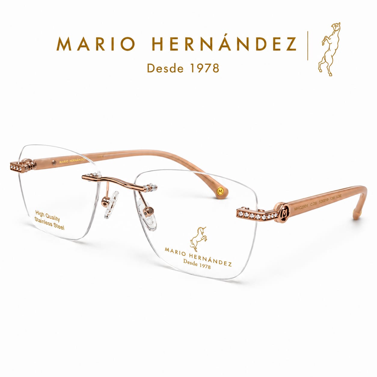 MARIO HERNANDEZ