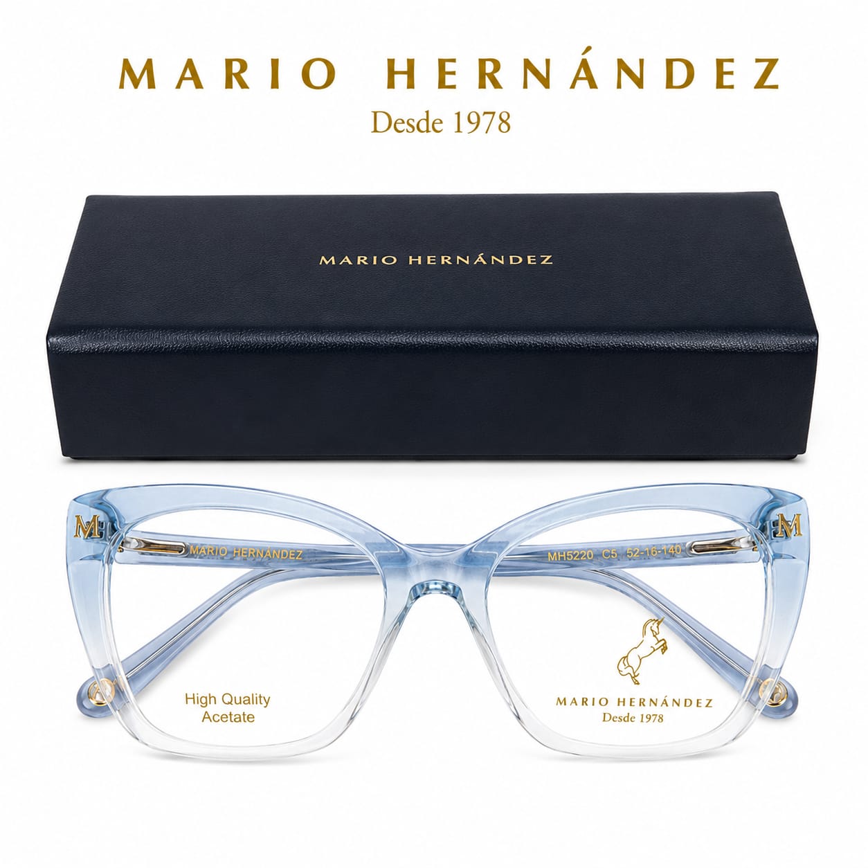 MARIO HERNANDEZ