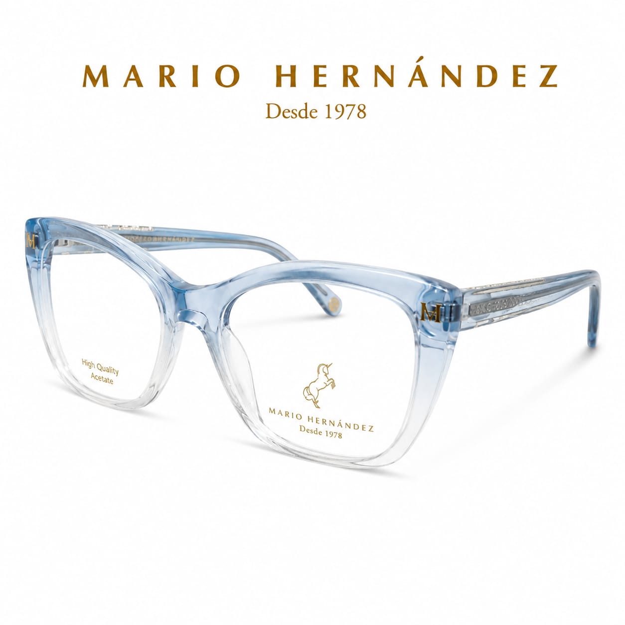 MARIO HERNANDEZ