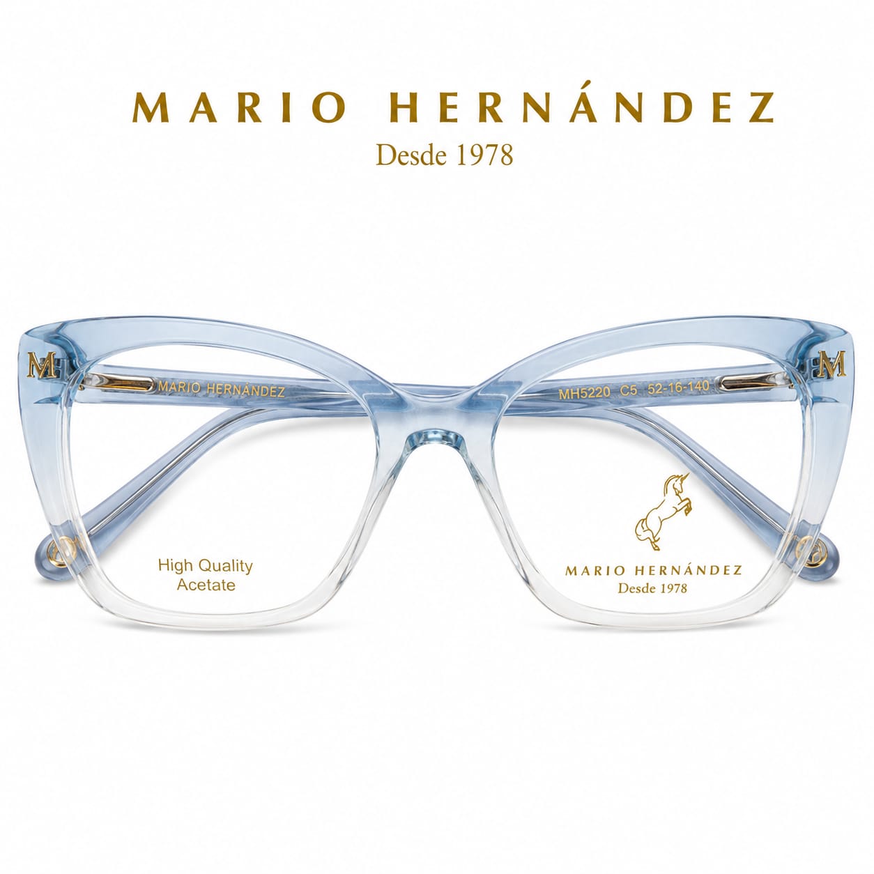MARIO HERNANDEZ