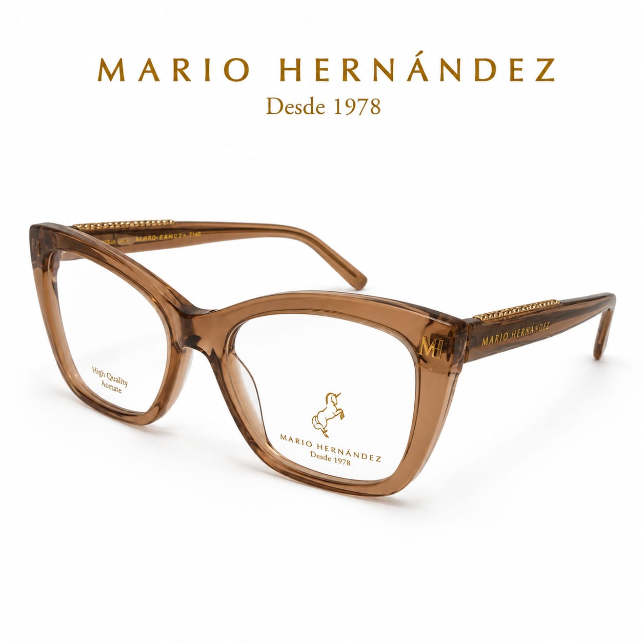 MARIO HERNANDEZ
