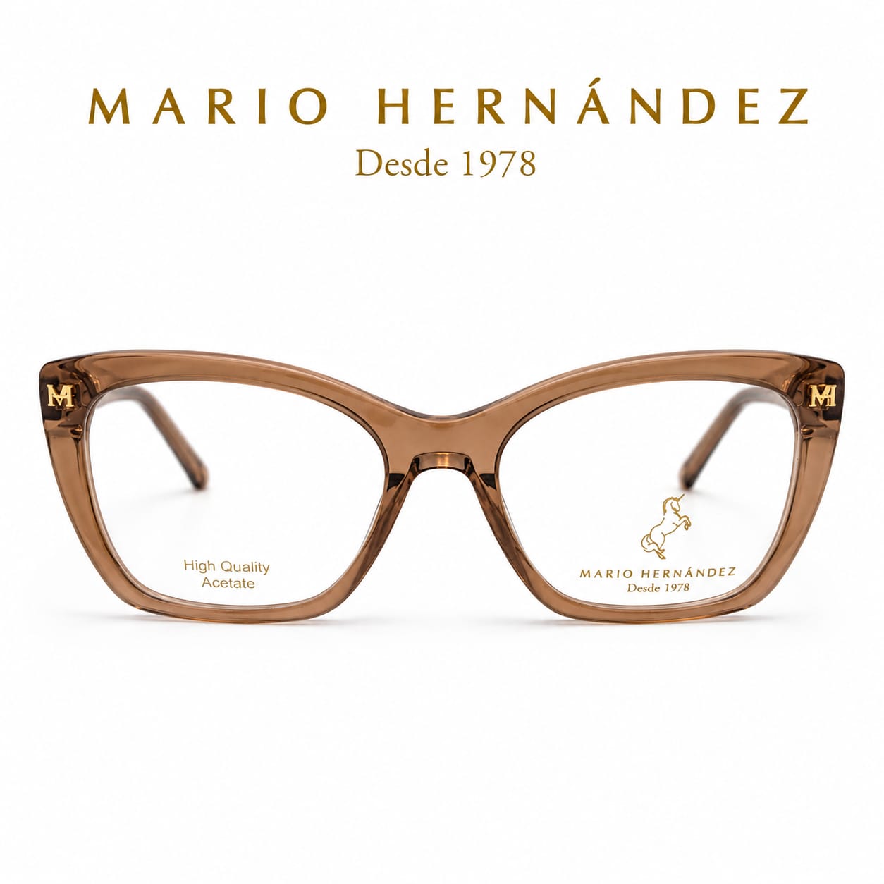 MARIO HERNANDEZ