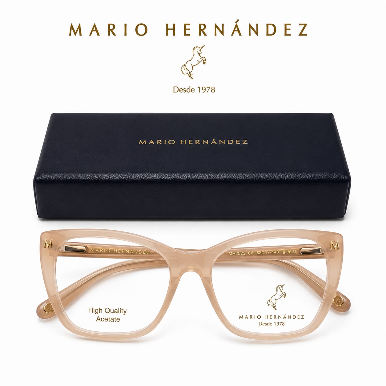 MARIO HERNANDEZ