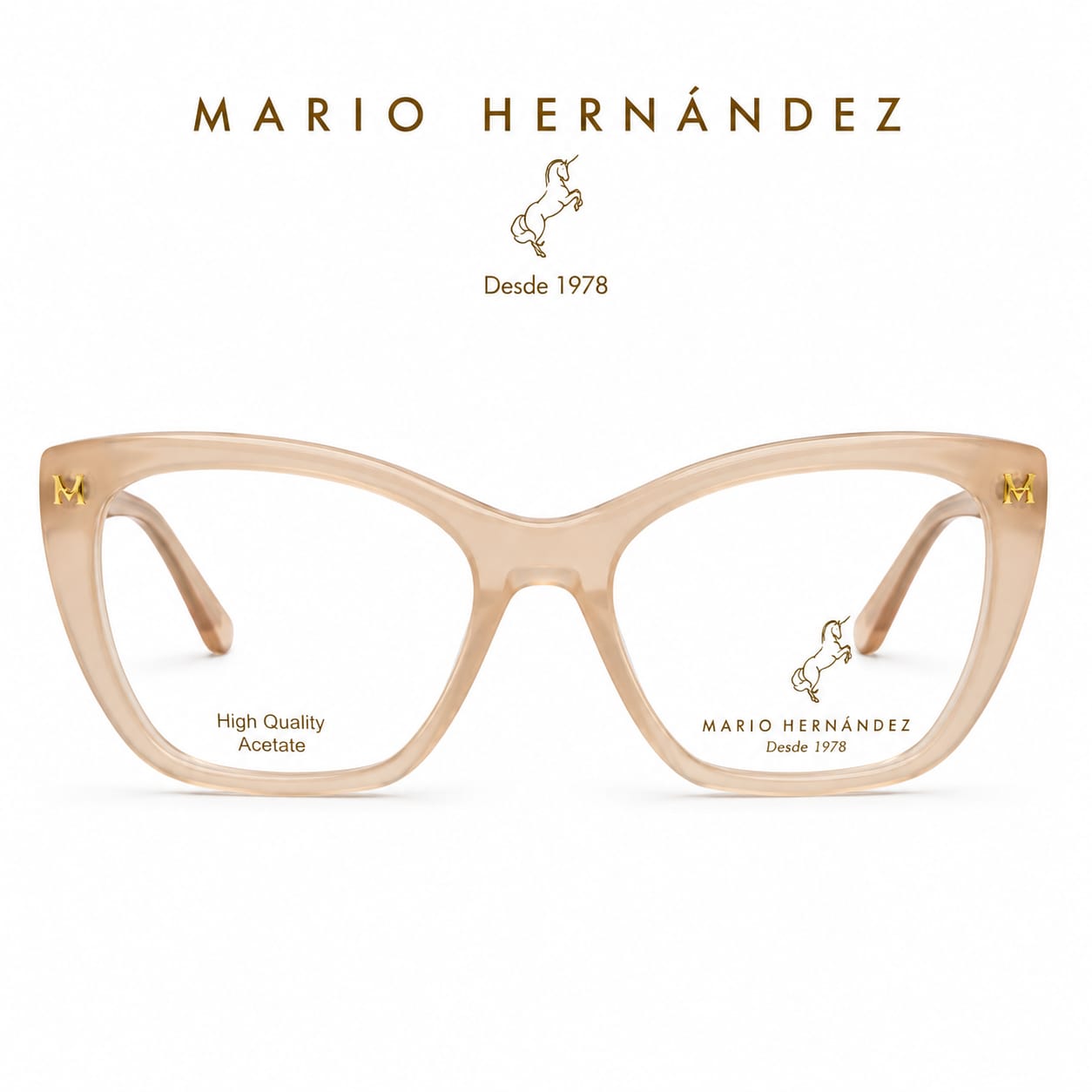 MARIO HERNANDEZ