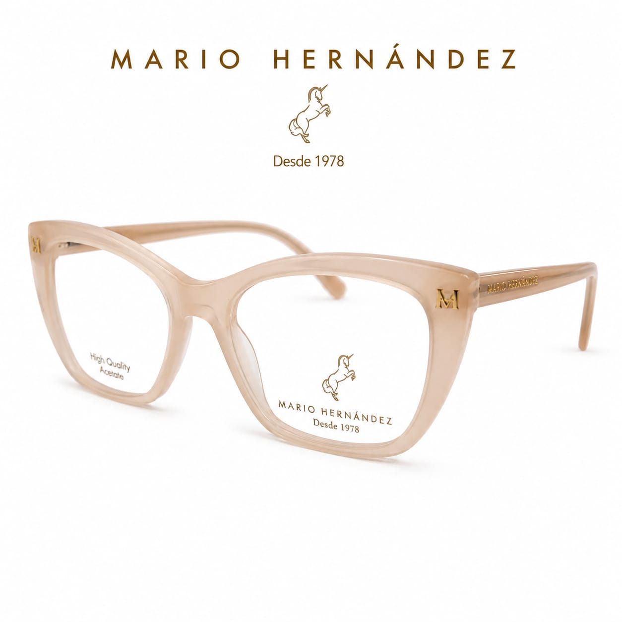 MARIO HERNANDEZ