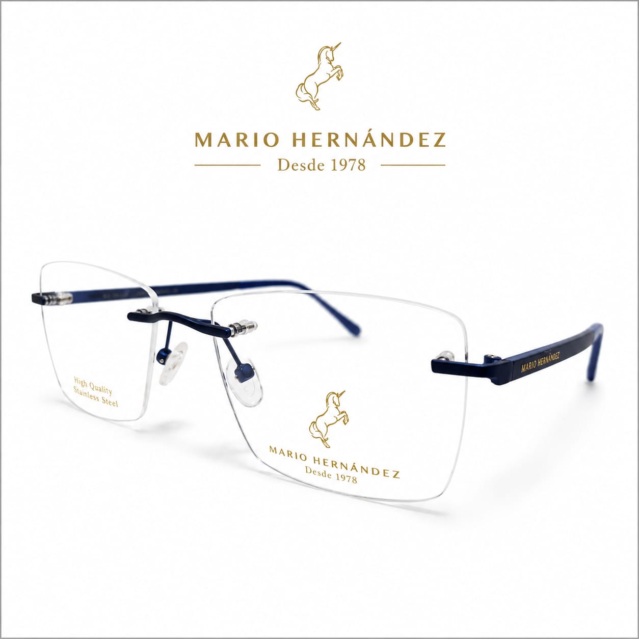 MARIO HERNANDEZ