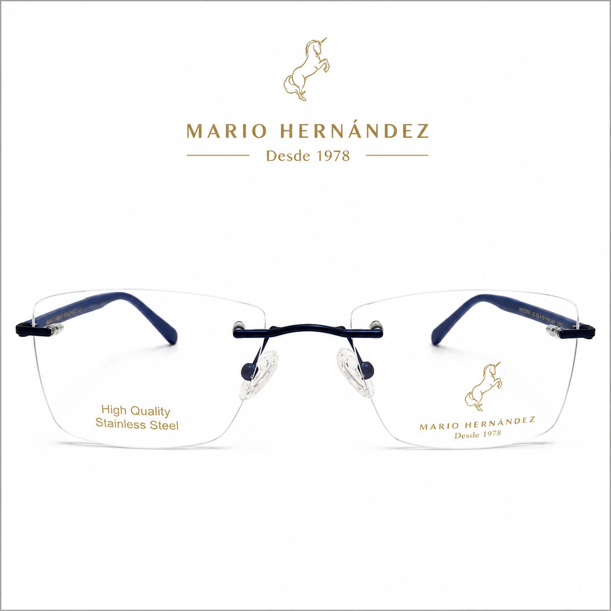 MARIO HERNANDEZ