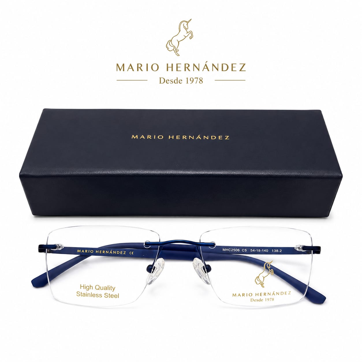 MARIO HERNANDEZ