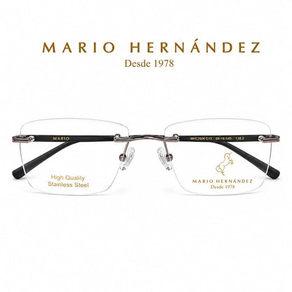 MARIO HERNANDEZ