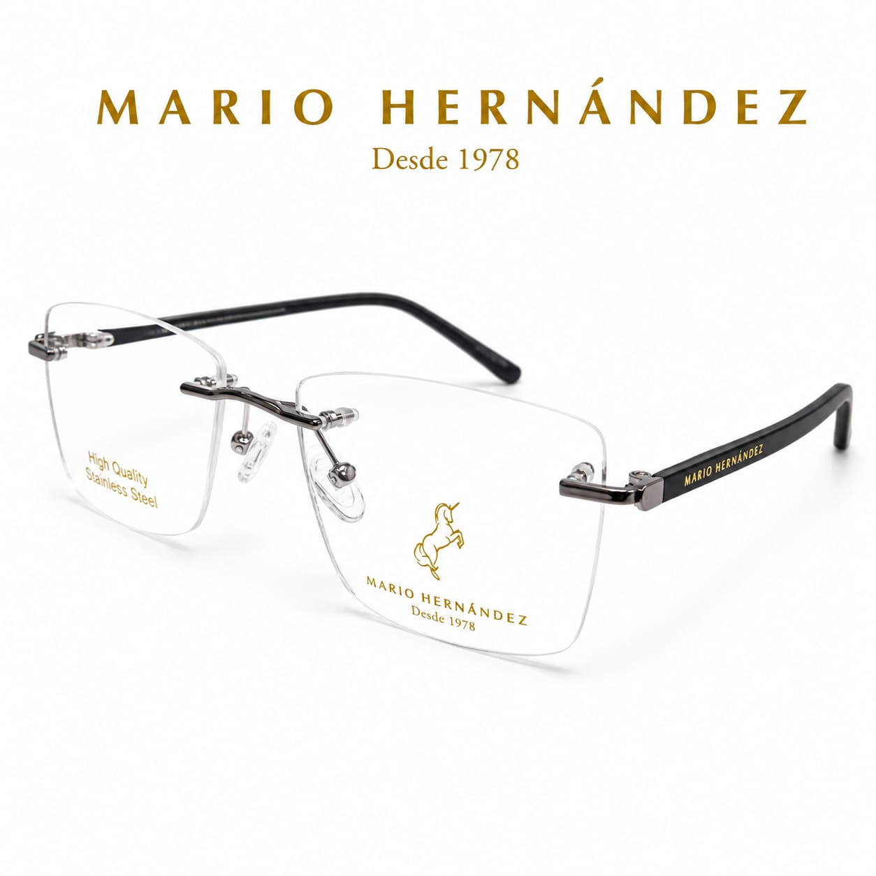 MARIO HERNANDEZ