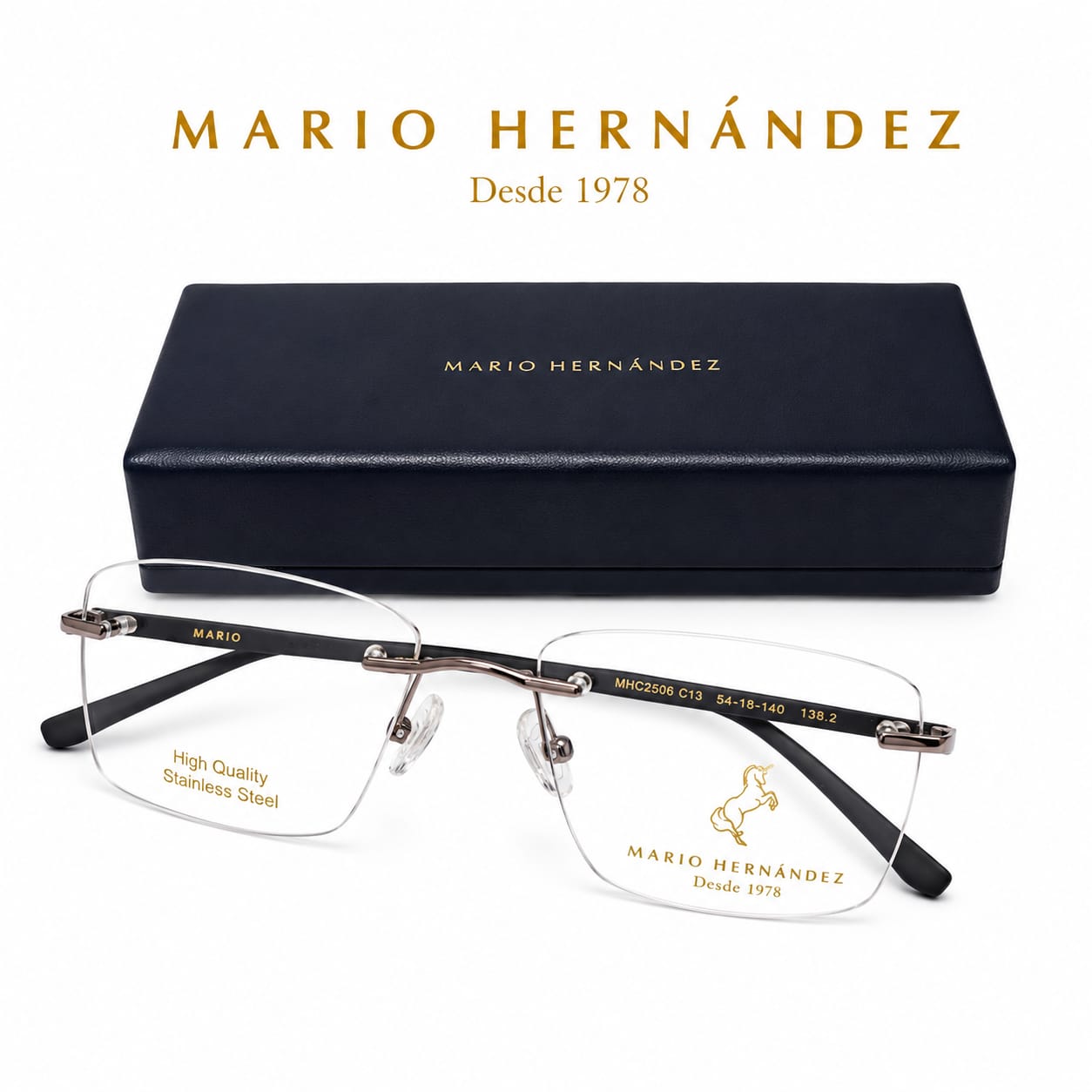 MARIO HERNANDEZ