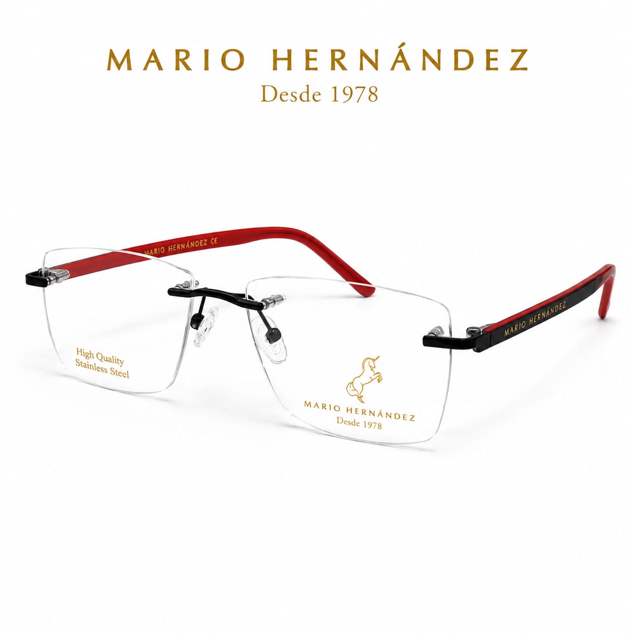 MARIO HERNANDEZ