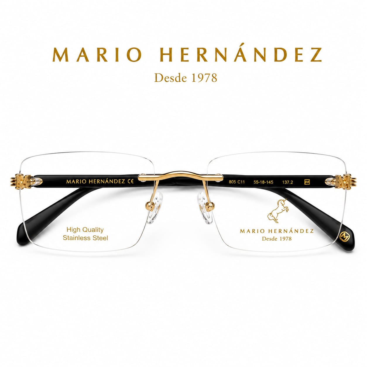 MARIO HERNANDEZ