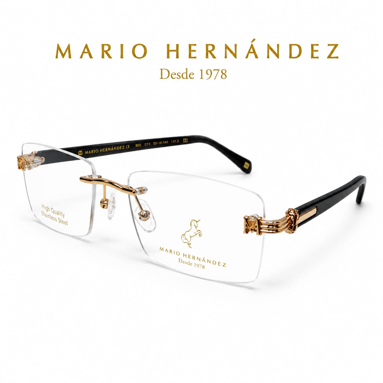 MARIO HERNANDEZ