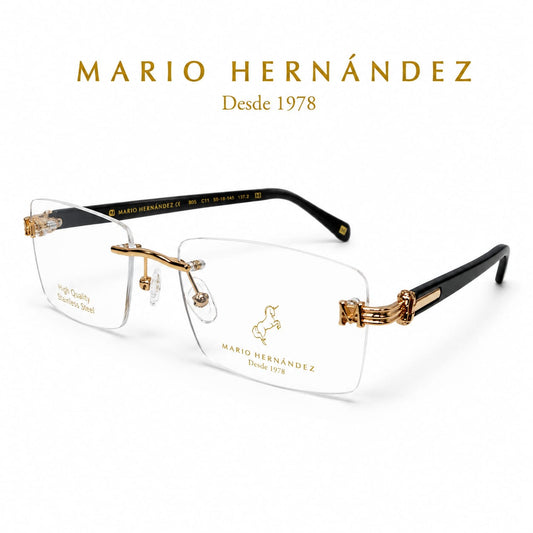 MARIO HERNANDEZ
