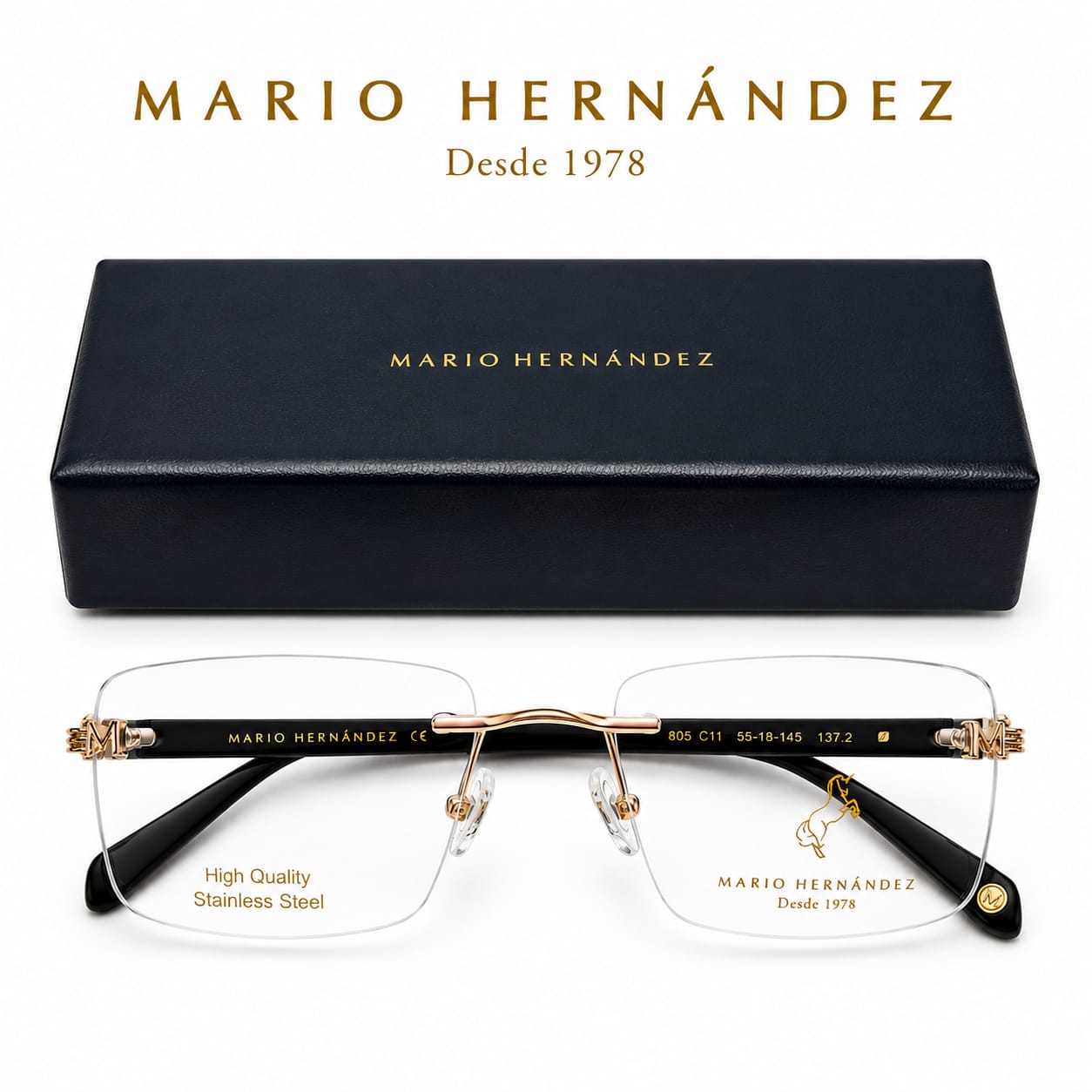 MARIO HERNANDEZ
