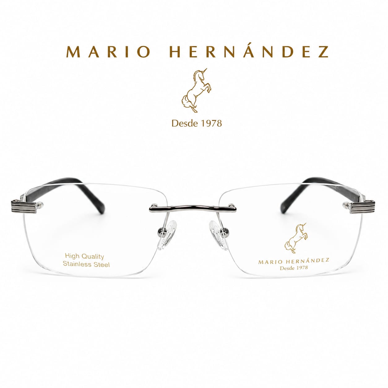 MARIO HERNANDEZ