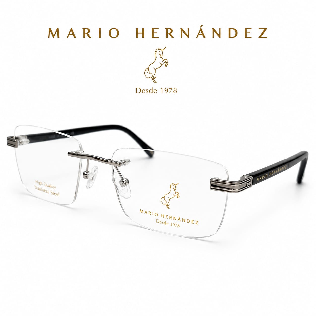 MARIO HERNANDEZ