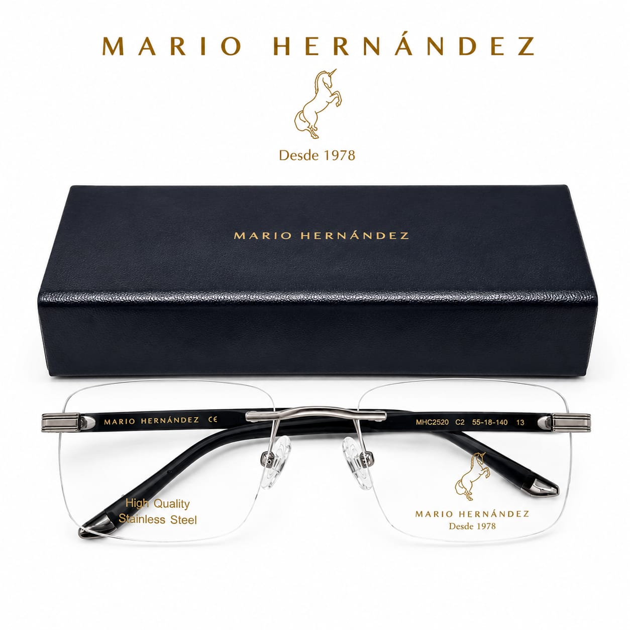 MARIO HERNANDEZ