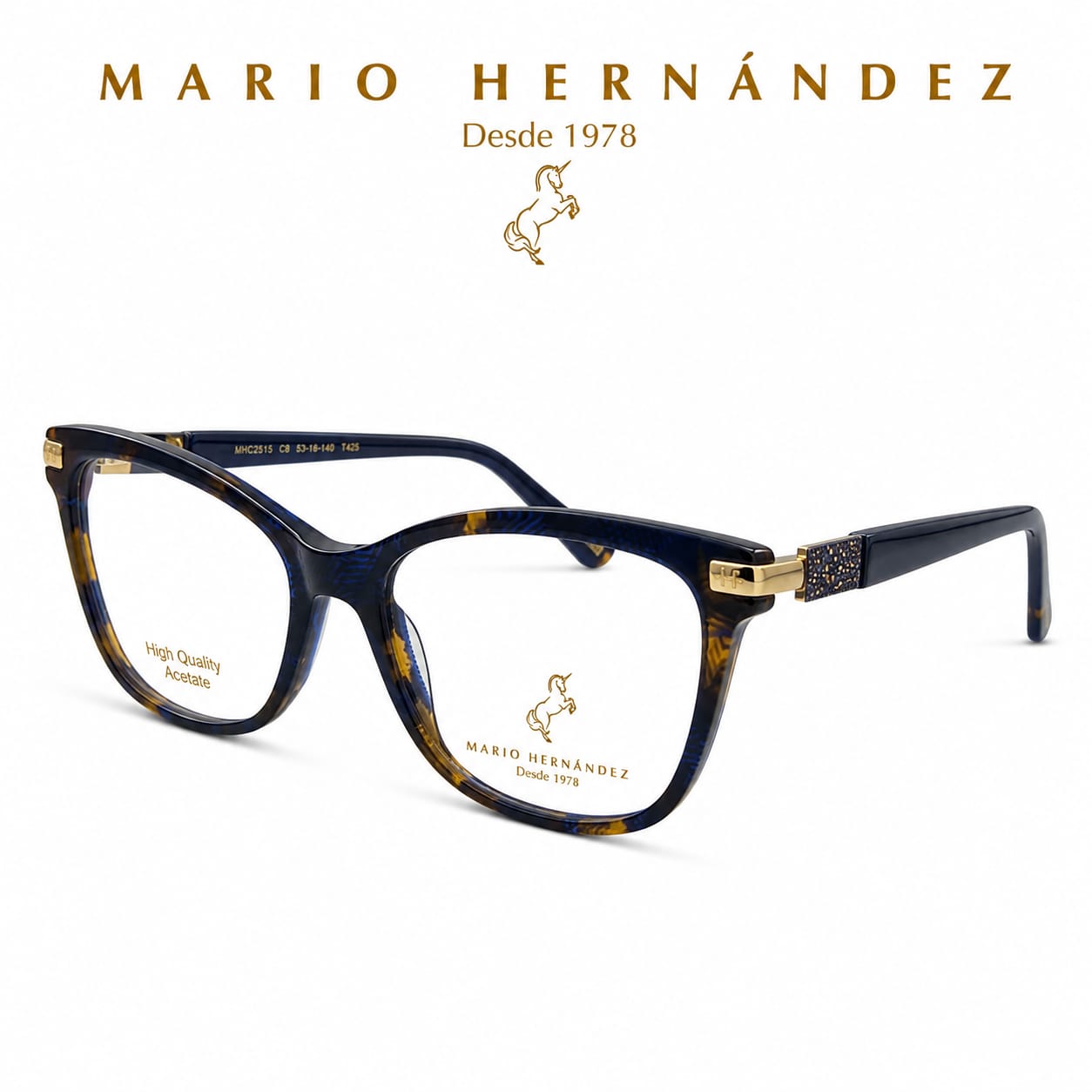 MARIO HERNANDEZ