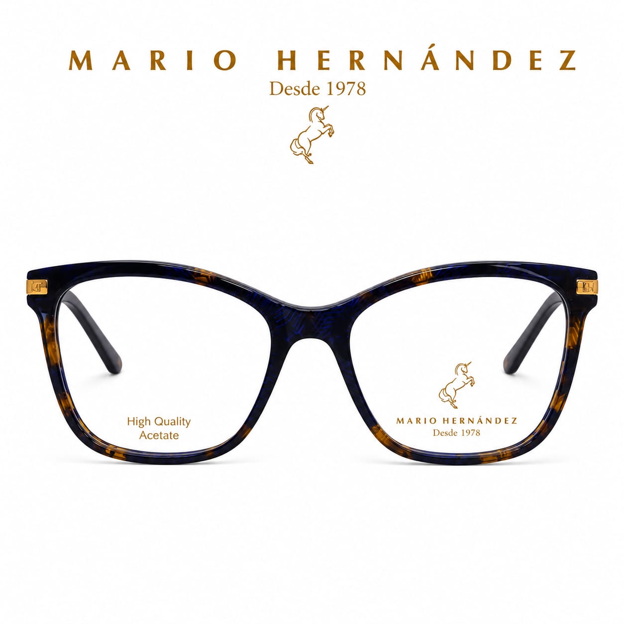 MARIO HERNANDEZ