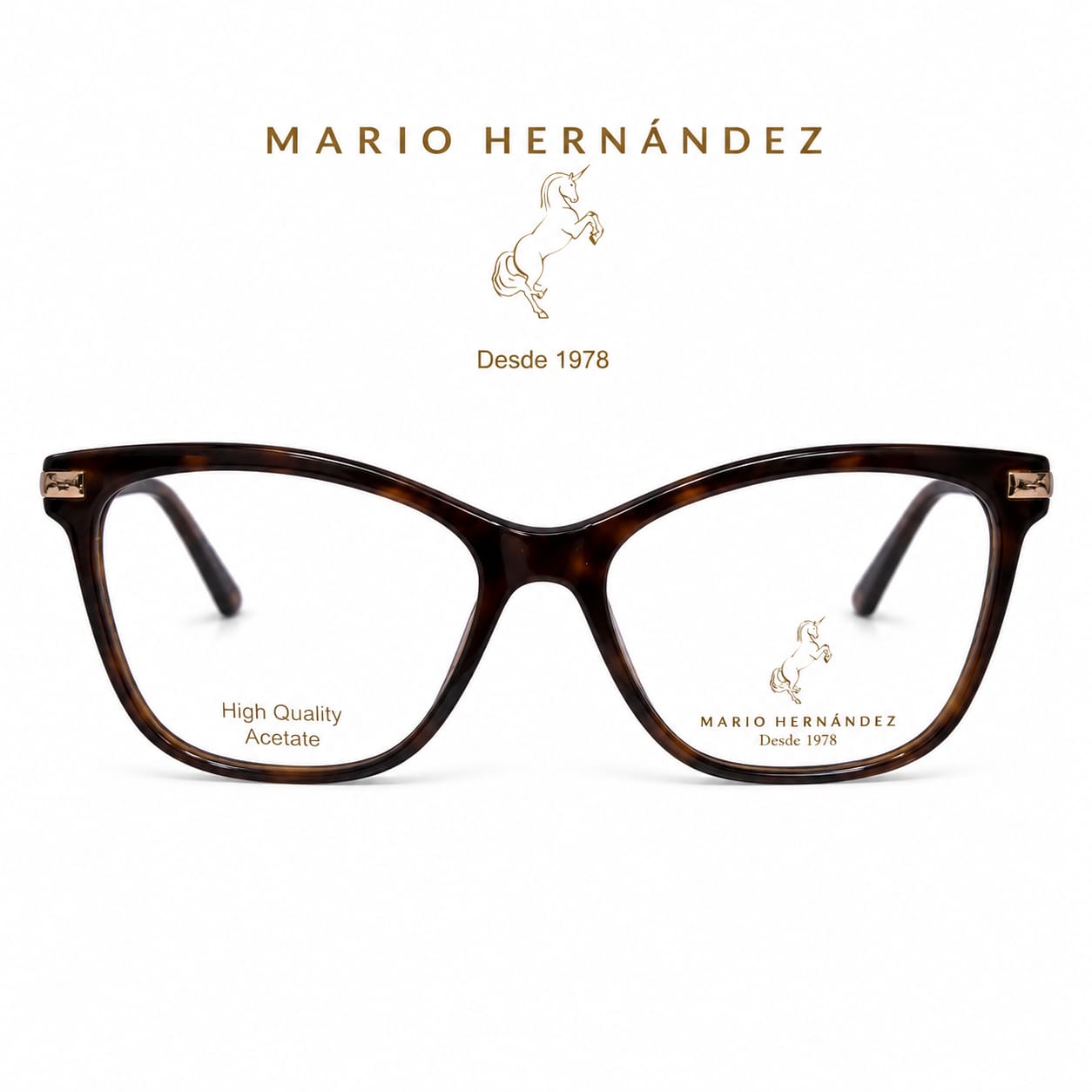 MARIO HERNANDEZ