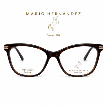 MARIO HERNANDEZ