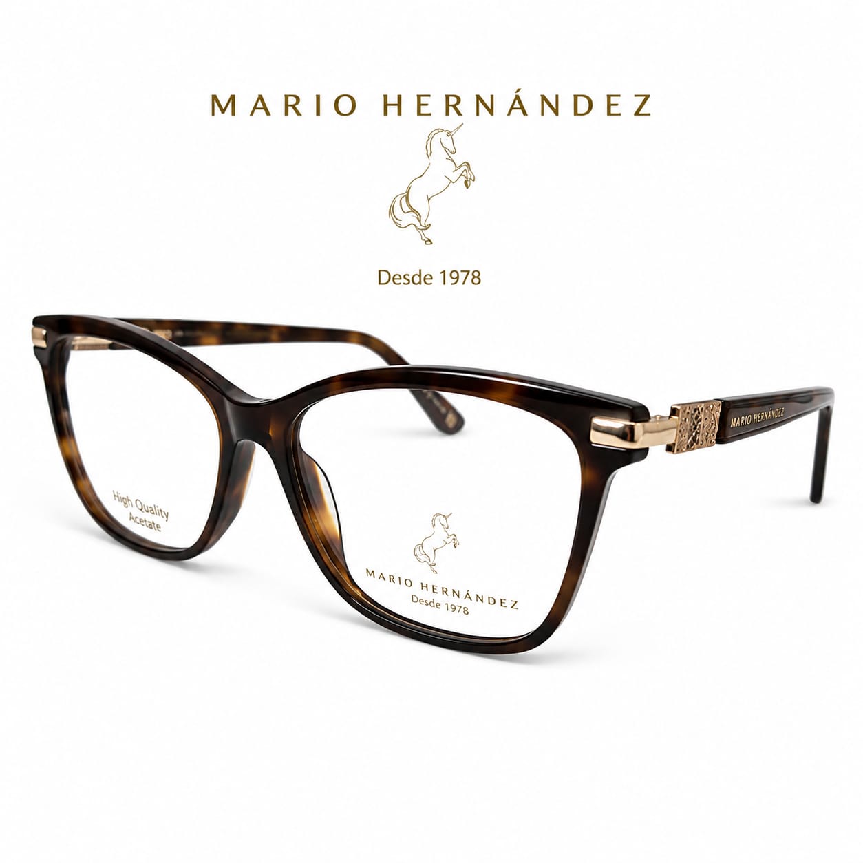 MARIO HERNANDEZ
