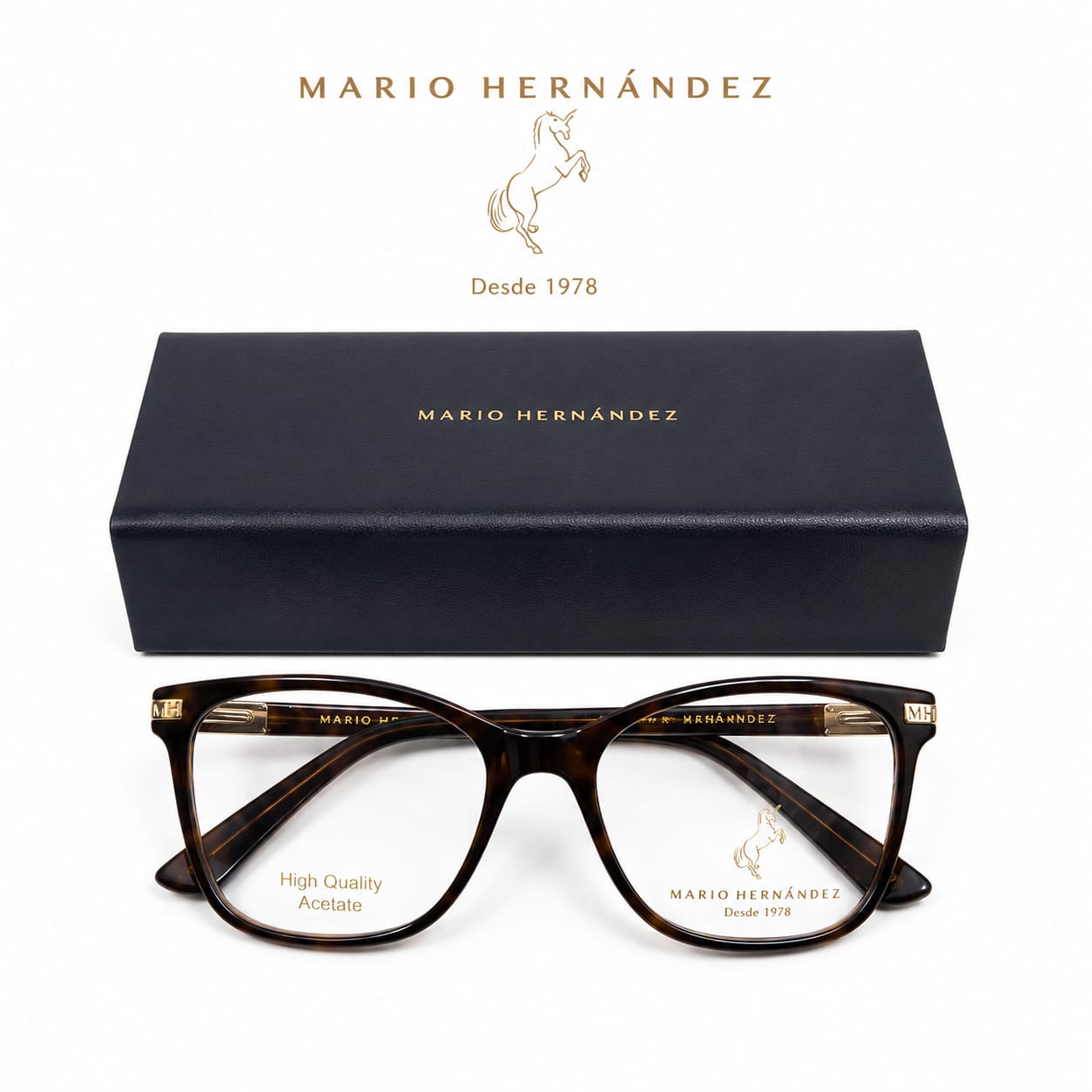 MARIO HERNANDEZ
