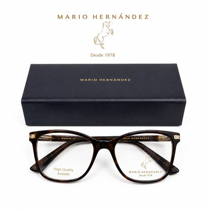 MARIO HERNANDEZ