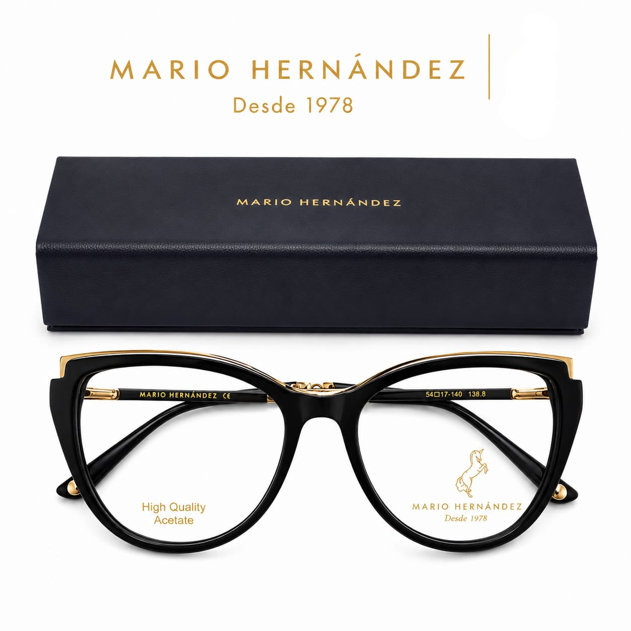 MARIO HERNANDEZ
